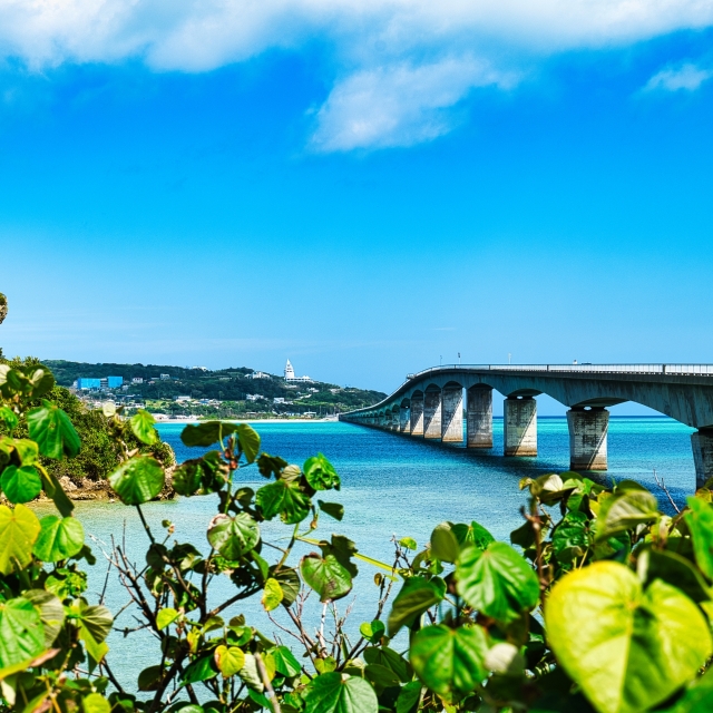 沖縄旅行のドライブコースはこれ！北部〜南部のおすすめを紹介のバナー画像